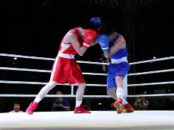 拳击半决赛，西城铁骑队与南城海豚队淘汰对手，阵地战处理得当！赛季拐点或已出现(拳击锦标赛进入半决赛)